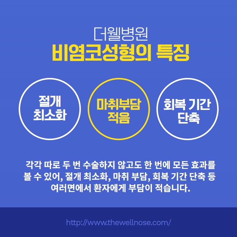 비중격만곡증치료와 코성형을 동시에, 원인과 치료 방법 (5/11)