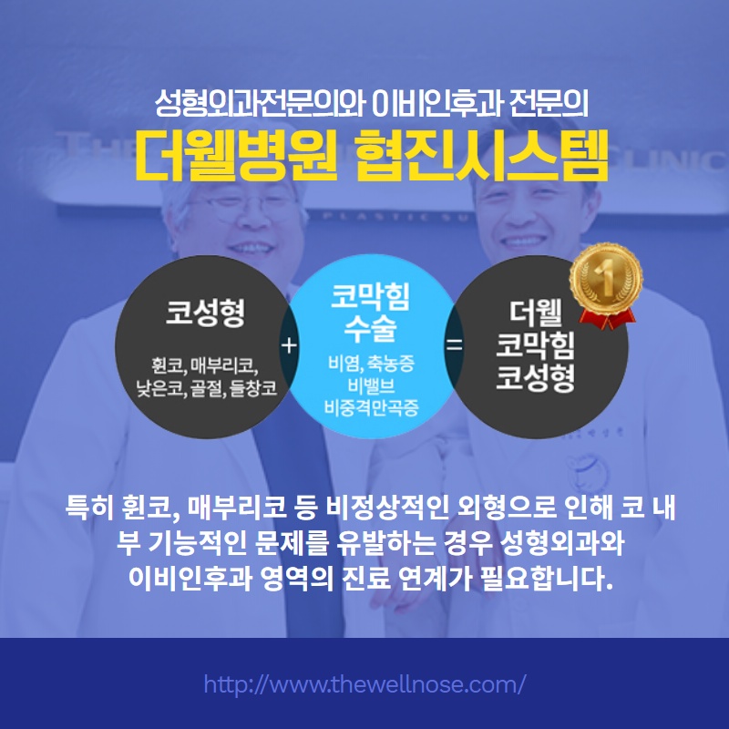 비중격만곡증치료와 코성형을 동시에, 원인과 치료 방법 (6/11)