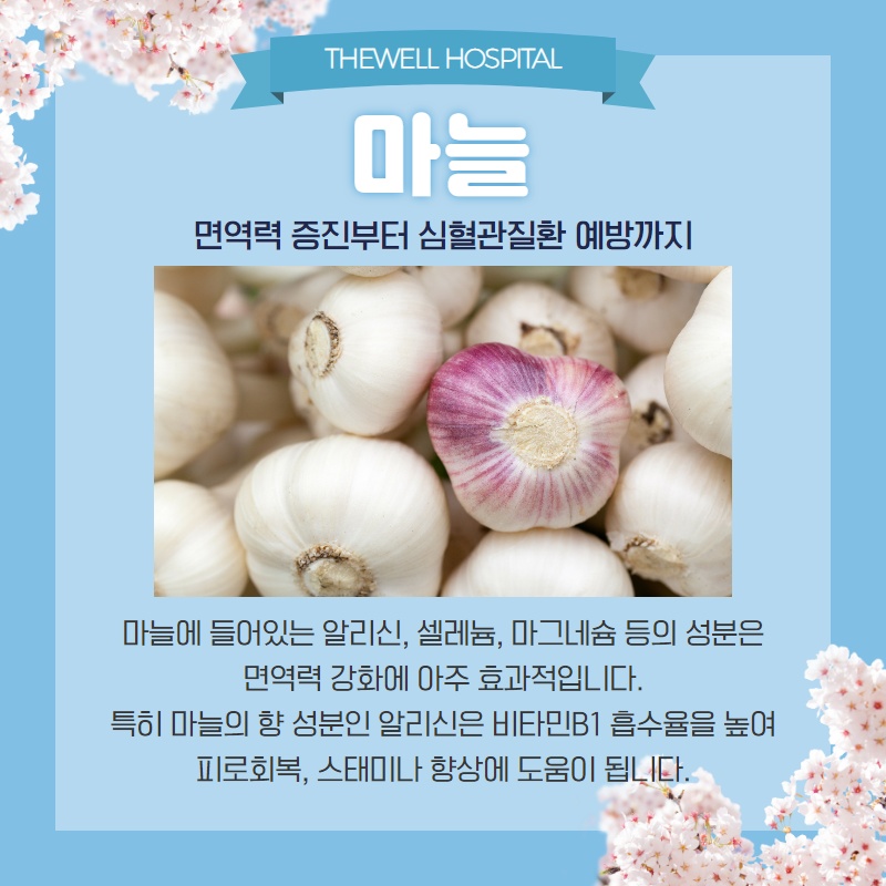 면역력을 높이는 음식 7가지! (9/13)